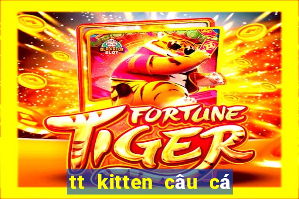 tt kitten câu cá pk hỗ trợ