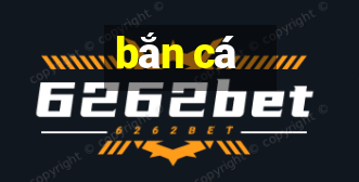 ban ca