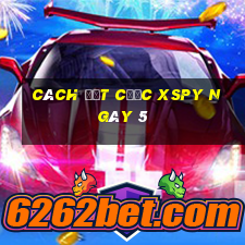 Cách đặt cược XSPY ngày 5