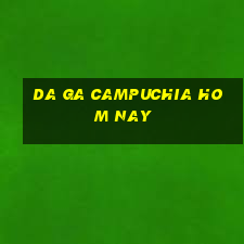 da ga campuchia hom nay