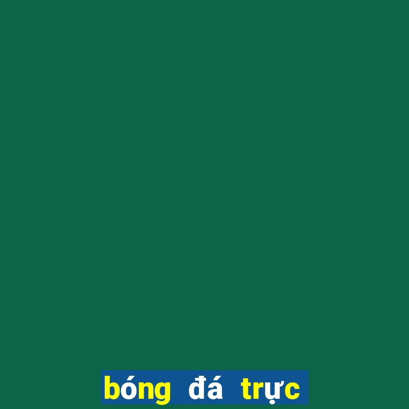 bóng đá trực tiếp livescore