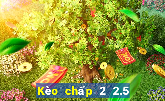 Kèo chấp 2 2.5 la gì