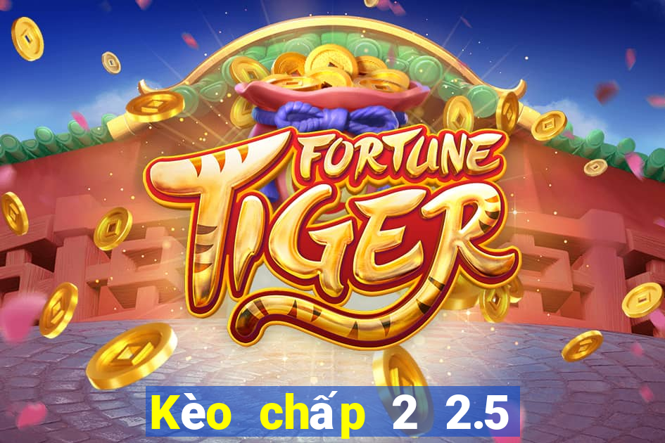 Kèo chấp 2 2.5 la gì