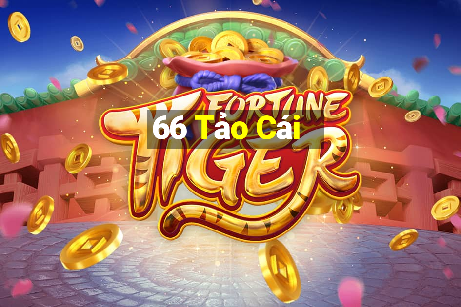 66 Tảo Cái