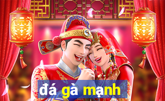 đá gà mạnh