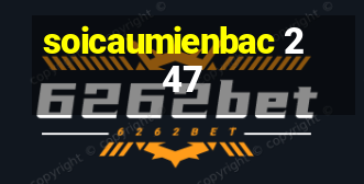 soicaumienbac 247