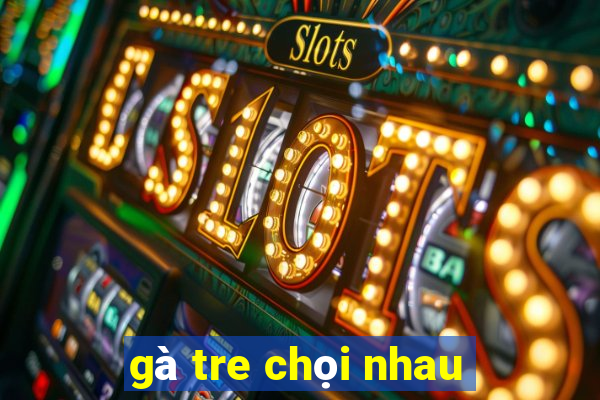 gà tre chọi nhau