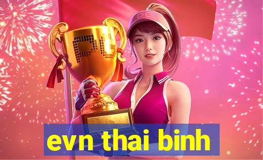 evn thai binh