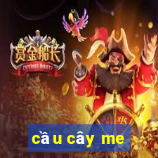 cầu cây me