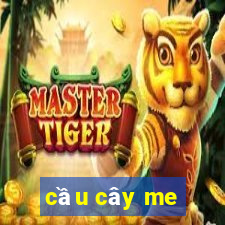 cầu cây me