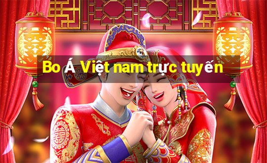 Bo Á Việt nam trực tuyến