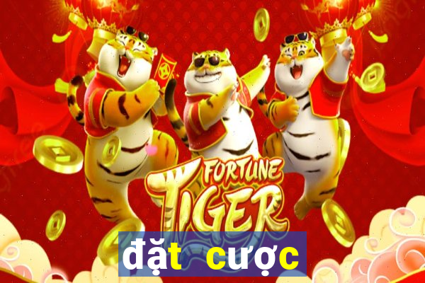 đặt cược casino fi88