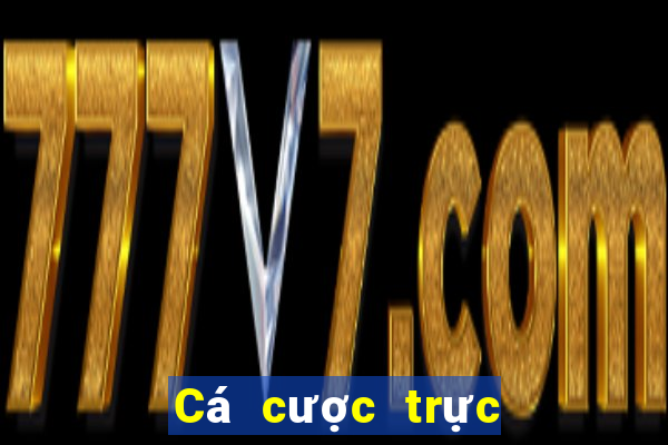 Cá cược trực tuyến d9bet