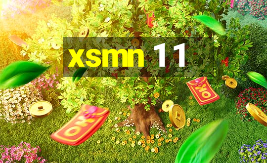 xsmn 1 1