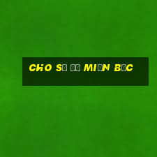 cho số đề miền bắc