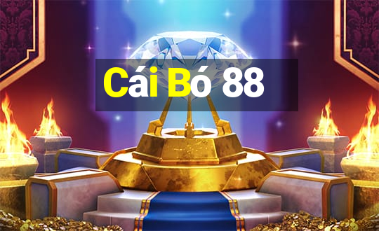 Cái Bó 88