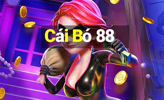 Cái Bó 88