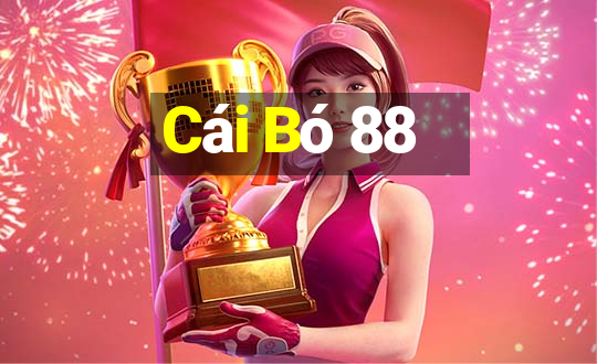 Cái Bó 88