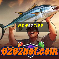 new88 tips