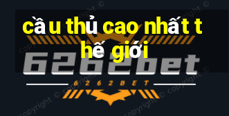 cầu thủ cao nhất thế giới