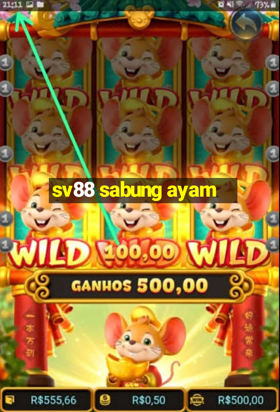 sv88 sabung ayam