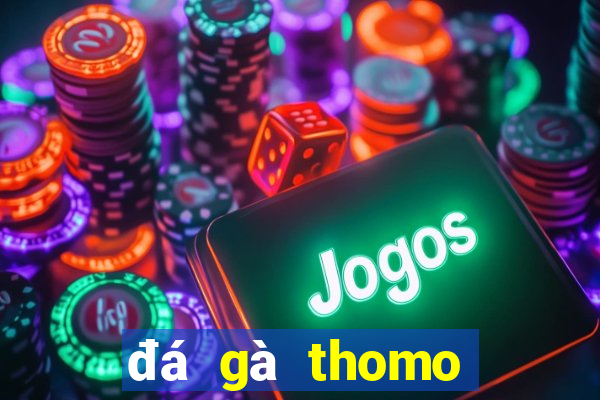 đá gà thomo ngày 24 tháng 09