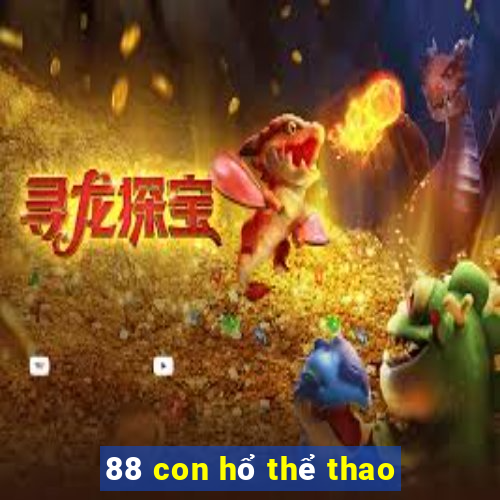 88 con hổ thể thao