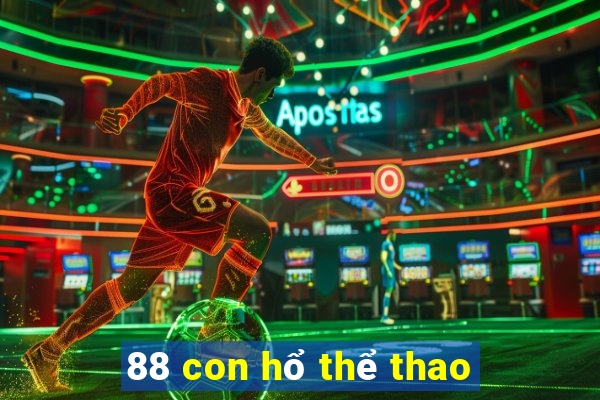 88 con hổ thể thao