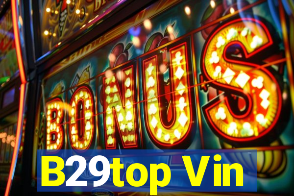 B29top Vin