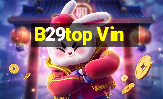 B29top Vin