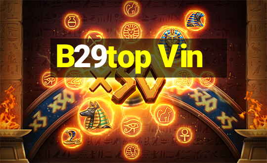 B29top Vin