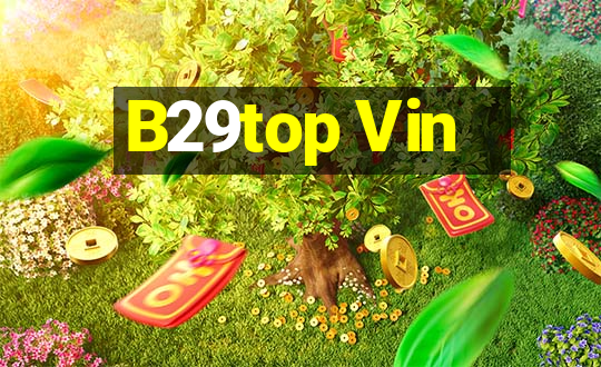 B29top Vin