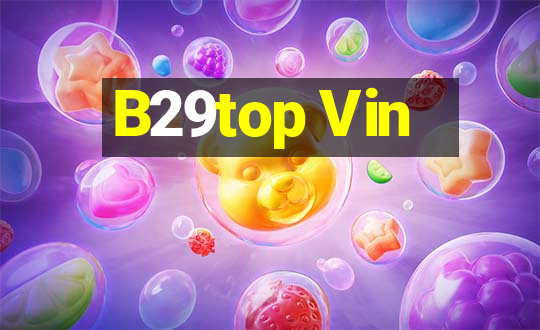 B29top Vin