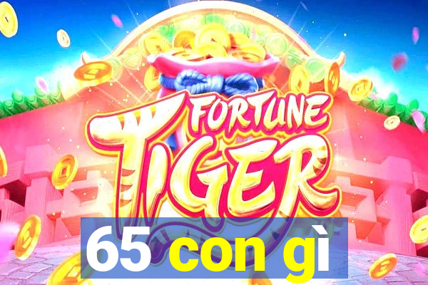 65 con gì