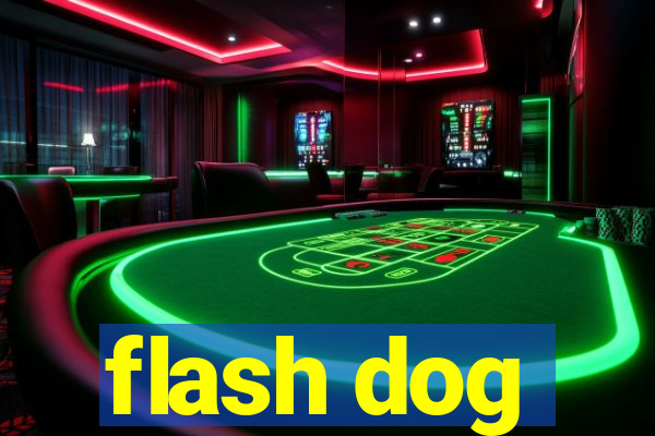 flash dog