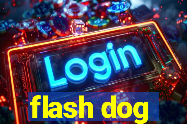 flash dog