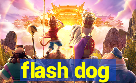 flash dog