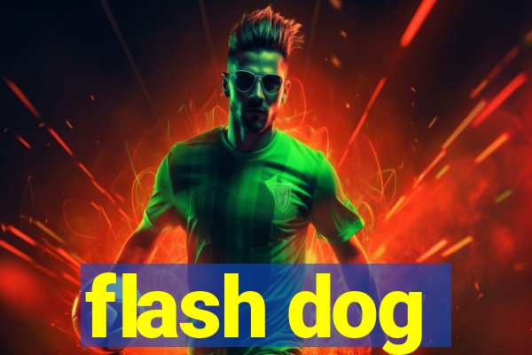 flash dog