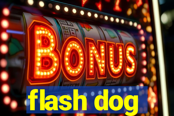 flash dog