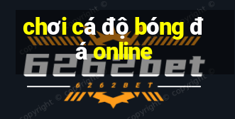 chơi cá độ bóng đá online