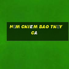 nằm chiêm bao thấy cá