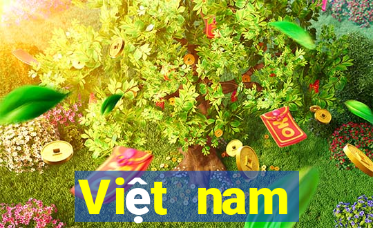 Việt nam International Wynn