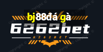 bj88 đá gà