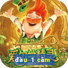 đầu 1 câm đánh lô gì