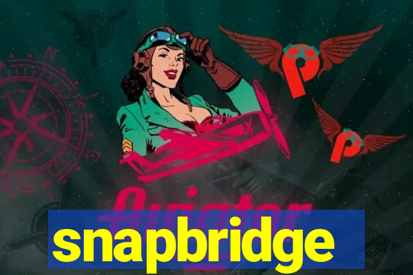 snapbridge