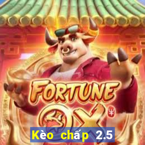 Kèo chấp 2.5 là gì