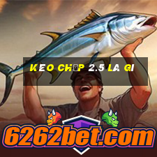 Kèo chấp 2.5 là gì