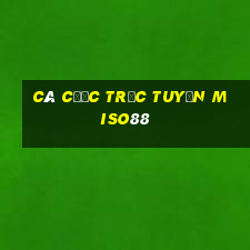 Cá cược trực tuyến miso88