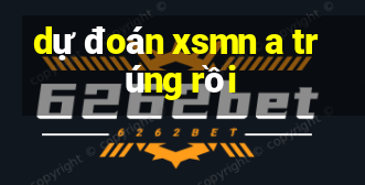 dự đoán xsmn a trúng rồi