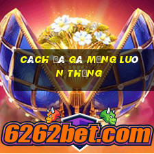 cách đá gà mạng luôn thắng